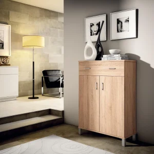 triauxi-zapatero-80 (2)