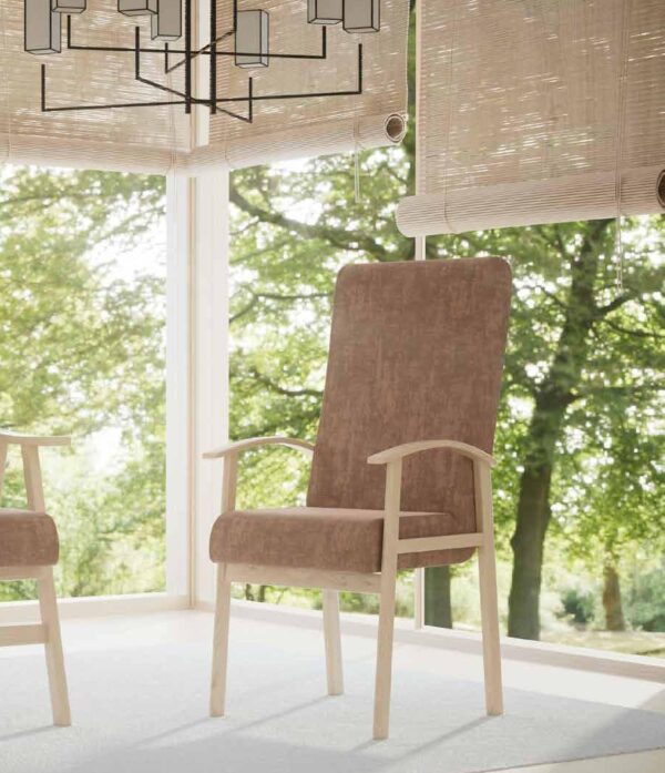 Sillón T-5 Tapizado en Madera de Haya