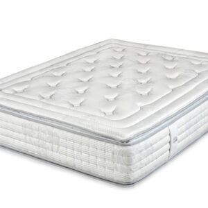 THERMOSENSITY-S6-moraplex