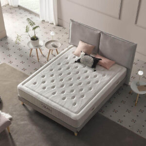 matisse-essenzia (4)