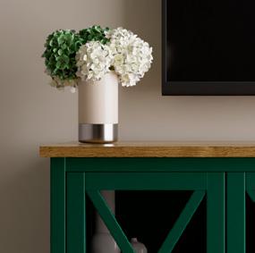 mueble-salon-verde-dismuser-1
